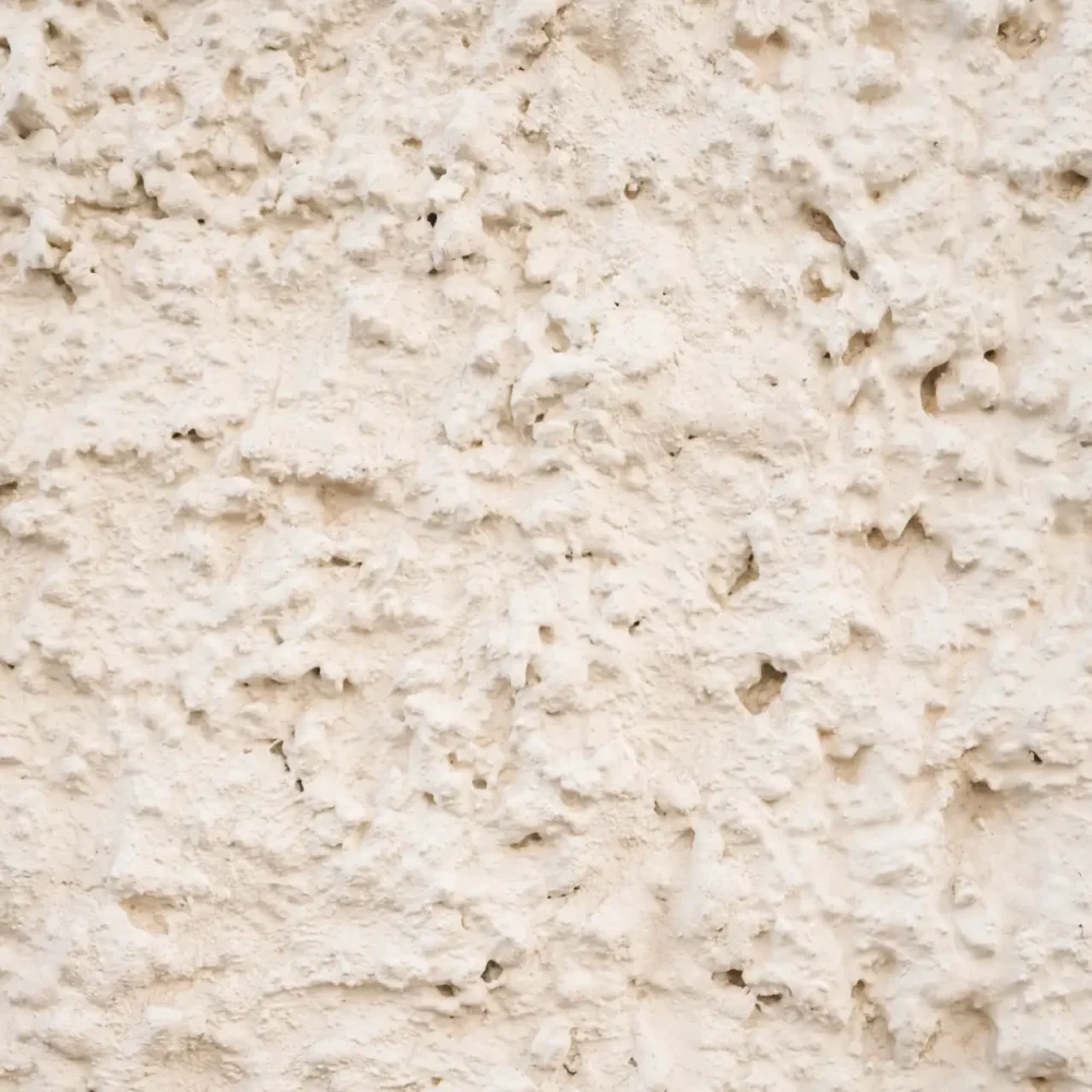 Tecniche Tradizionali a Calce Naturale
